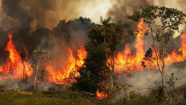 amazon_fires.jpg