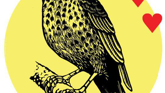 love_music_declares_emergency_bird.jpg