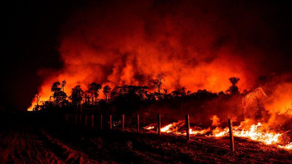 Amazon Fires
