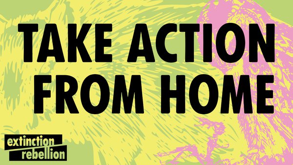 take action home.jpeg