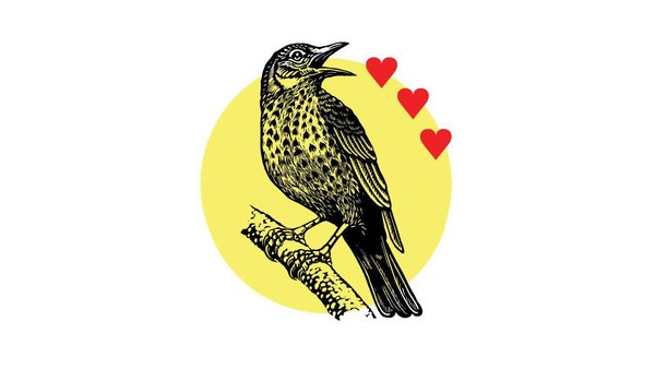love_music_declares_emergency_bird facebook.jpg