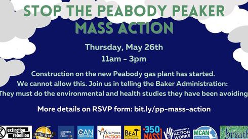 pp_peaker_mass_action