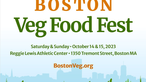 Boston Vegetarian Food Festival 2023