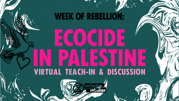 Ecocide in Palestine