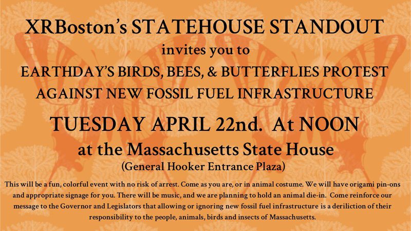 Birds Bees and Butterflies Invite