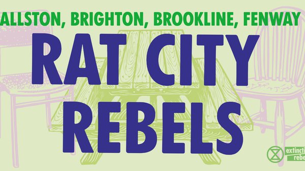 aktivisda-a24748c3-e3b7-4b4b-9d4e-b4cabafc6427 (4)